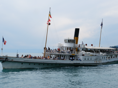MS VEVEY