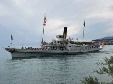 MS VEVEY