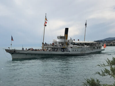 MS VEVEY