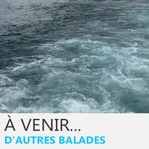 Prochainement